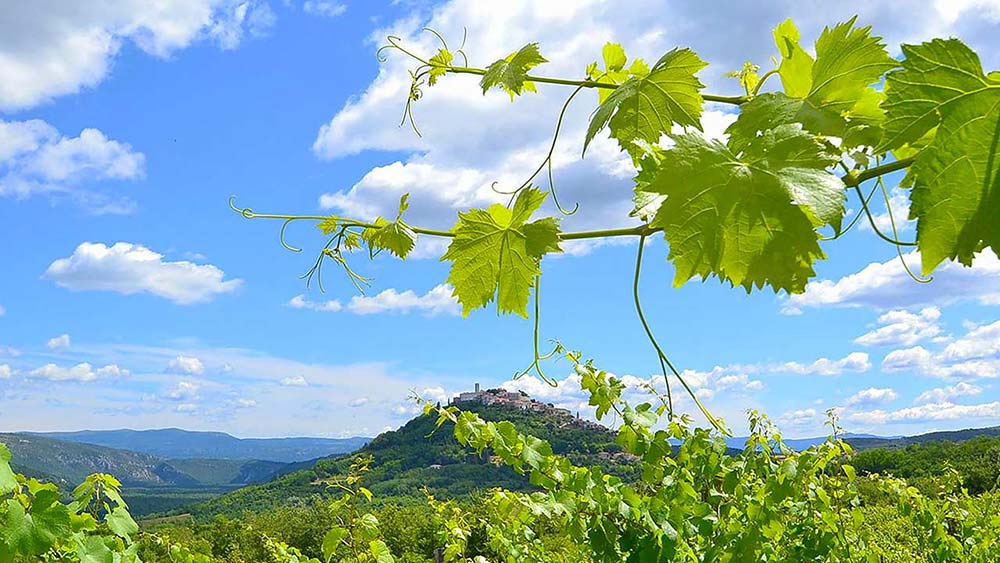magic Istra Istria