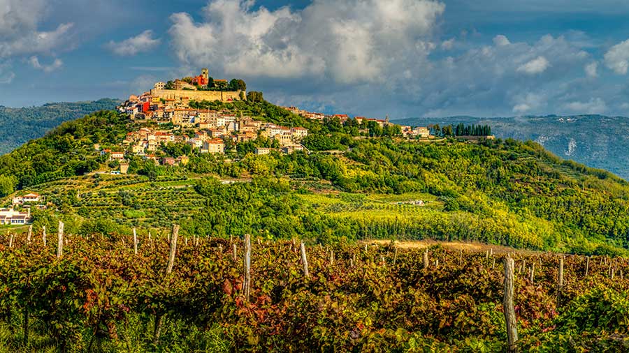 Motovun