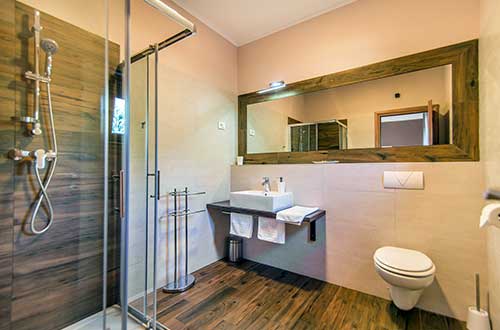 bathroom, shower cabin, apartment with a swimming pool last minute Galižana, gastronomy
